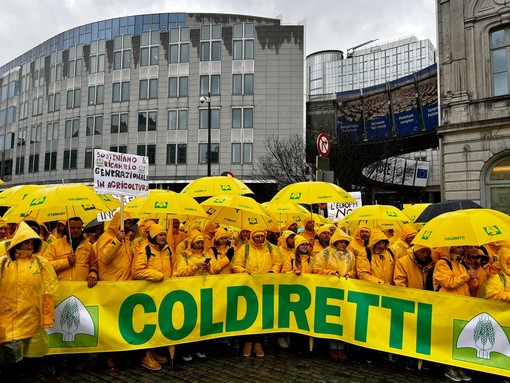 Coldiretti Savona in piazza a Bruxxelles per chiedere il giusto prezzo per il settore floricolo Coldiretti Savona in piazza a Bruxxelles per chiedere il giusto prezzo per il settore floricolo