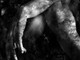 Dal 6 luglio a Savona: "Presenze", arti figurative, dj-set, live performance e molto altro Dal 6 luglio a Savona: "Presenze", arti figurative, dj-set, live performance e molto altro