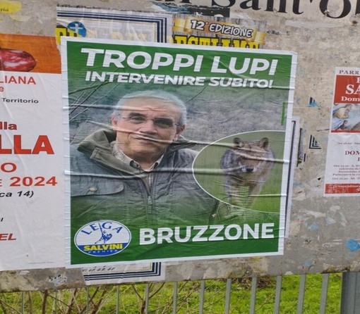 "Troppi lupi, intervenire subito", lo slogan del candidato alle Europee della Lega Bruzzone "Troppi lupi, intervenire subito", lo slogan del candidato alle Europee della Lega Bruzzone