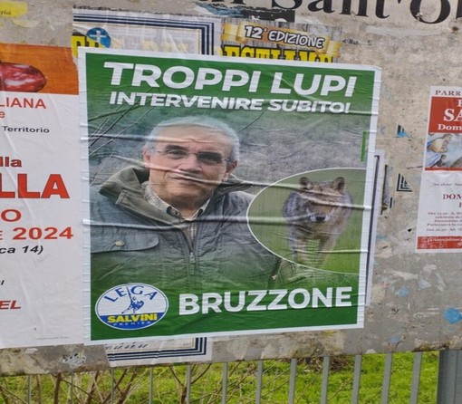 &quot;Troppi lupi, intervenire subito&quot;, lo slogan del candidato alle Europee della Lega Bruzzone