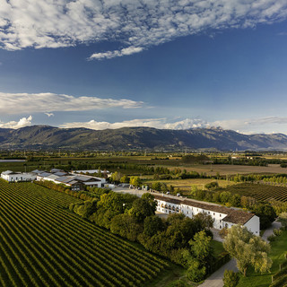 Strategie di vendita vincenti per Bottega Strategie di vendita vincenti per Bottega