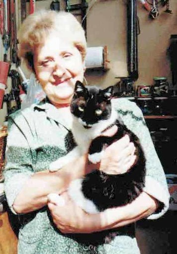 A.A.: cercasi nuova gattara per le colonie feline di Savona A.A.: cercasi nuova gattara per le colonie feline di Savona