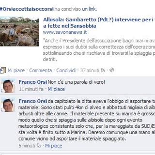 Tronchi a fette nel Sansobbia, Orsi: "un taglio ci costa 20.000 euro, portarla via 60.000"
