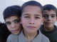 Sos Gaza: Legacoop a fianco della campagna del Gruppo di Volontariato Civile Sos Gaza: Legacoop a fianco della campagna del Gruppo di Volontariato Civile