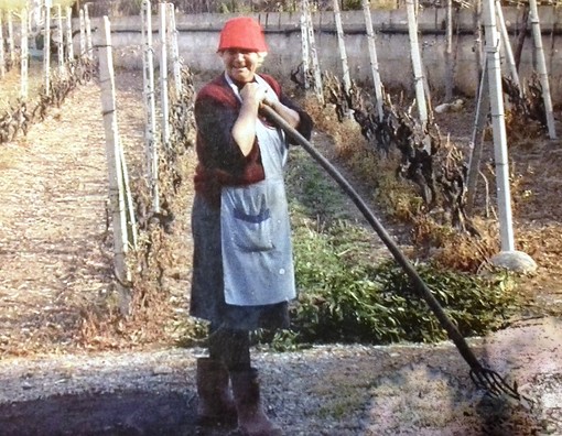 Donne in Campo-Cia, la storia di Bice: la 'nonna' del Pigato