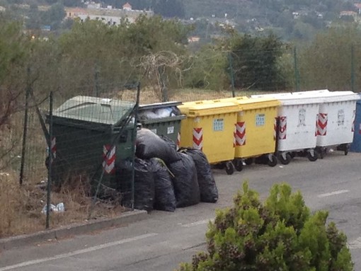 Borghetto: caccia al misterioso "Insozzatore di Pineland"