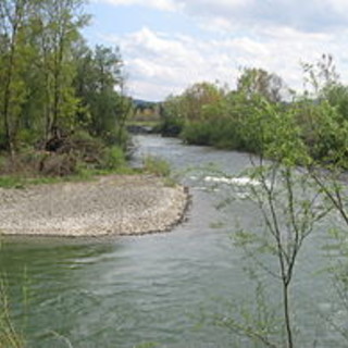 Taglio della vegetazione sul fiume Bormida Taglio della vegetazione sul fiume Bormida