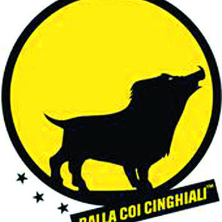 Bardineto: Balla coi Cinghiali, un arresto