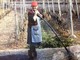 Donne in Campo-Cia, la storia di Bice: la 'nonna' del Pigato