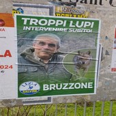"Troppi lupi, intervenire subito", lo slogan del candidato alle Europee della Lega Bruzzone "Troppi lupi, intervenire subito", lo slogan del candidato alle Europee della Lega Bruzzone