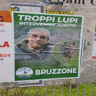 "Troppi lupi, intervenire subito", lo slogan del candidato alle Europee della Lega Bruzzone