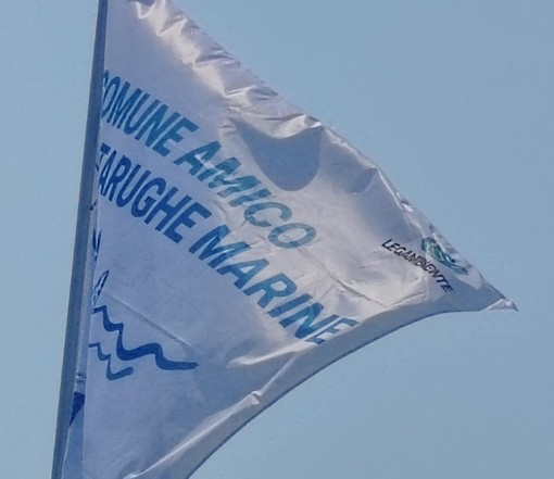 Ceriale “Comune Amico” delle tartarughe marine,  protocollo d’intesa con Legambiente