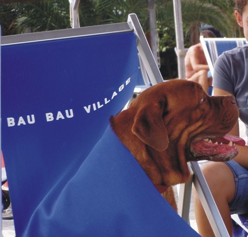 Albissola:ministro Brambilla"cani in vacanza per non morire"