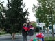 Borghetto Santo Spirito: sindaco e assessori addobbano personalmente l'albero (FOTOgallery)