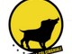Toirano: la domenica di FestAfrica 2011 (programma)