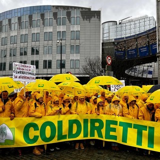 Coldiretti Savona in piazza a Bruxxelles per chiedere il giusto prezzo per il settore floricolo