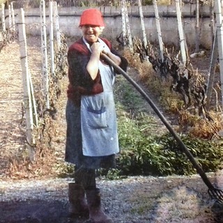 Donne in Campo-Cia, la storia di Bice: la 'nonna' del Pigato