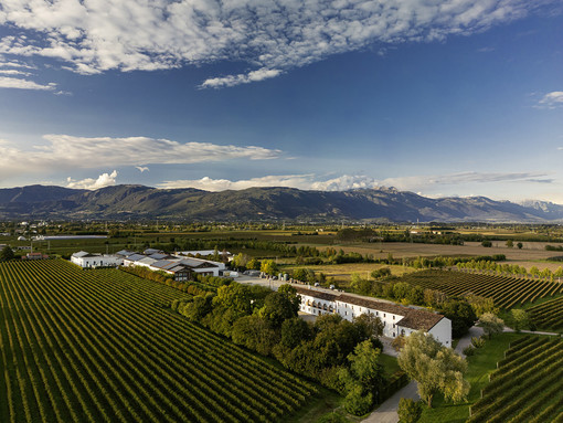 Strategie di vendita vincenti per Bottega