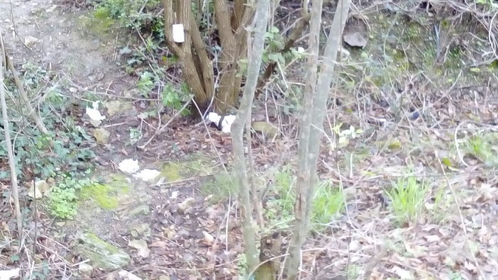 Campeggiatori abusivi tra Orco Feglino e Boragni. I residenti: "La zona è una latrina all'aperto" Campeggiatori abusivi tra Orco Feglino e Boragni. I residenti: "La zona è una latrina all'aperto"