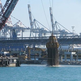 Porto Vado: non si ferma benna selvaggia II°. E il Comune che dice? Porto Vado: non si ferma benna selvaggia II°. E il Comune che dice?