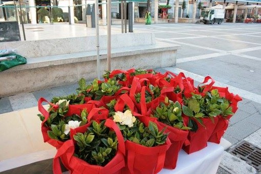 "Bentornata Gardensia", nelle piazze savonesi per combattere la Sclerosi Multipla