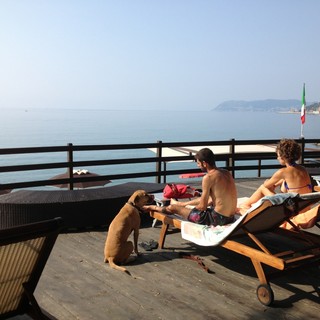 Alassio, continua ad essere &quot;dog friendly&quot;: ai Baba Beach con i quattro zampe
