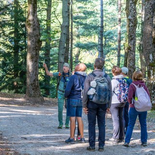 Castello di Casotto: arrivano i trekking d'autunno Castello di Casotto: arrivano i trekking d'autunno