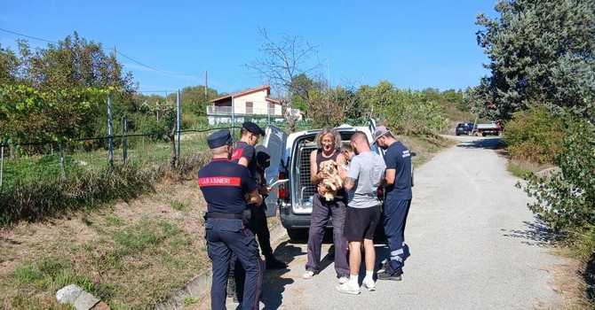 Cani dissequestrati a Dego, gli avvocati del proprietario: "Ha ricevuto insulti di ogni genere, vive per i suoi cani" Cani dissequestrati a Dego, gli avvocati del proprietario: "Ha ricevuto insulti di ogni genere, vive per i suoi cani"