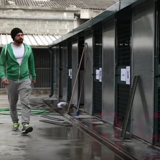 Raccolta cibo per il canile di Savona