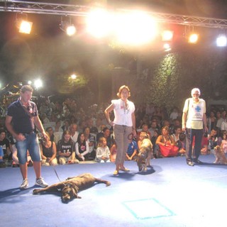 I cani fantasia: tutti vincitori