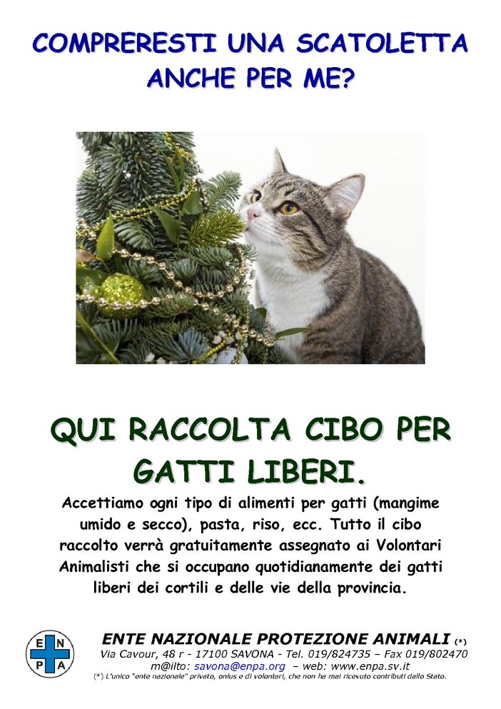 Pietra Ligure: raccolta cibo per i randagi