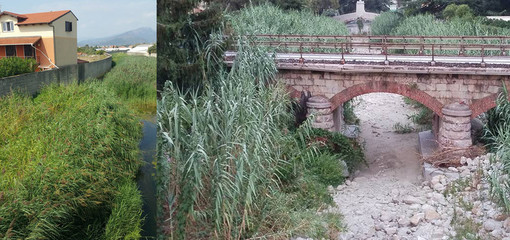 A Loano e Albenga fanno paura i corsi d'acqua Nimbalto e Carenda. Ma dai Comuni rassicurano
