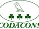CODACONS: col nuovo codice gli ubriachi potranno circolare CODACONS: col nuovo codice gli ubriachi potranno circolare