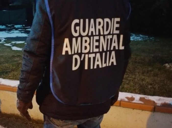 Solidarietà: dai Volontari Guardie Ambientali D’ITalia pacchi natalizi in cambio di un’offerta libera Solidarietà: dai Volontari Guardie Ambientali D’ITalia pacchi natalizi in cambio di un’offerta libera