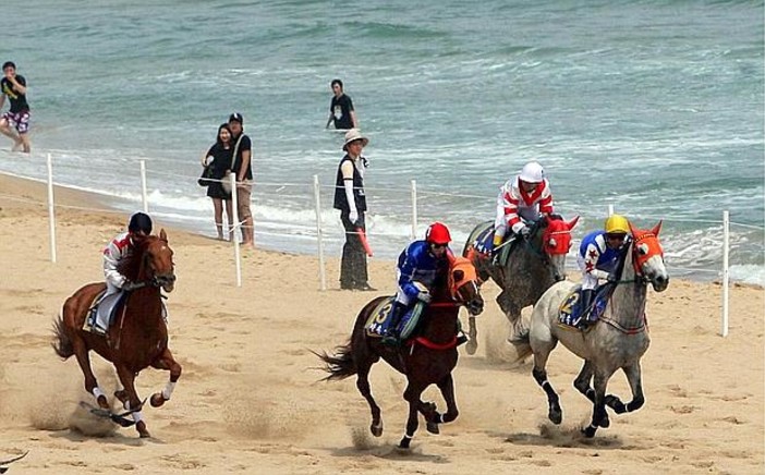 Animalisti e Enpa contro il Polo Beach di Pietra Ligure