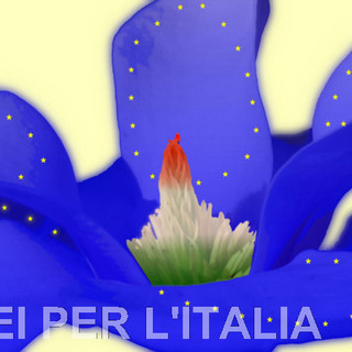 Comunali di Savona, "Europei per l'Italia" invita i cittadini comunitari ad iscriversi nelle liste elettorali