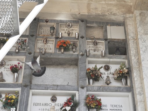 Sempre meno nascite ad Albenga dove invece sorge il problema spazi nei cimiteri