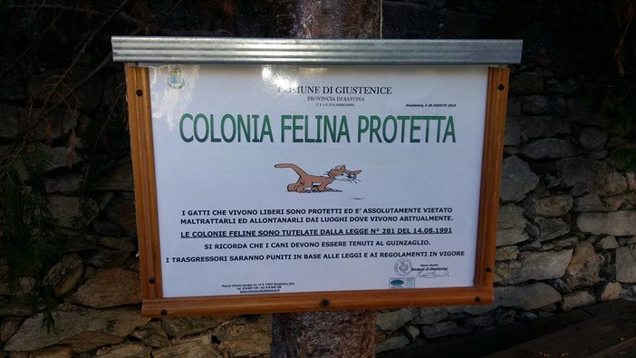 Comodato d'uso gratuito per la colonia felina di Giustenice Comodato d'uso gratuito per la colonia felina di Giustenice