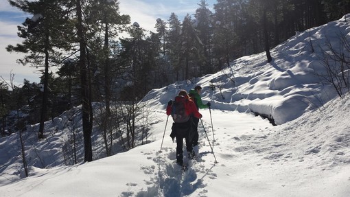 Ciaspolata nel Parco del Beigua attraverso la Foresta della Deiva Ciaspolata nel Parco del Beigua attraverso la Foresta della Deiva
