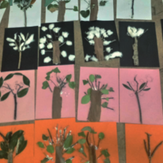 Borghetto: prende il via il progetto "Dall'albero al libro"
