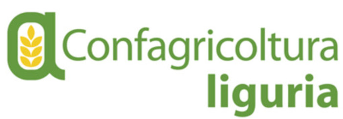 Florovivaismo, De Michelis (Confagricoltura): "In Liguria, come in Italia, è necessario investire sul verde pubblico"