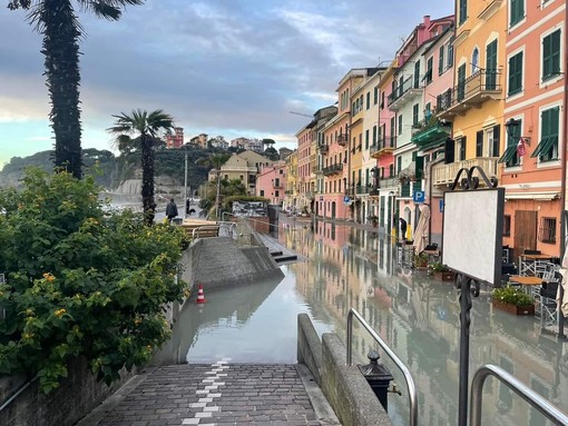 Celle in ginocchio sotto l'acqua, allagati il centro storico e i negozi. Il sindaco: "Allertata la Protezione civile regionale, difficilissimo gestire" (FOTO e VIDEO) Celle in ginocchio sotto l'acqua, allagati il centro storico e i negozi. Il sindaco: "Allertata la Protezione civile regionale, difficilissimo gestire" (FOTO e VIDEO)