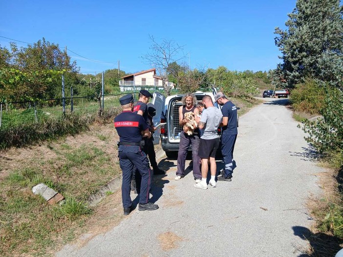 Cani dissequestrati a Dego, gli avvocati del proprietario: "Ha ricevuto insulti di ogni genere, vive per i suoi cani" Cani dissequestrati a Dego, gli avvocati del proprietario: "Ha ricevuto insulti di ogni genere, vive per i suoi cani"