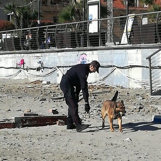 Controlli dei carabinieri ad Alassio: in azione il nucleo cinofili di Villanova d'Albenga (FOTO)