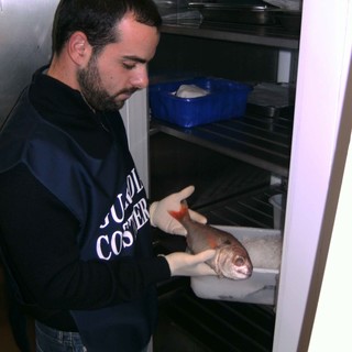 Guardia Costiera: anatomia dell'operazione Octopus