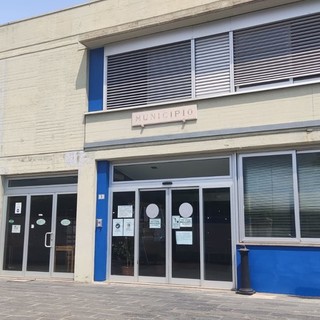 Controllo della diffusione dei piccioni domestici e lotta alla processionaria del pino: doppia ordinanza sindacale a Borghetto S. Spirito