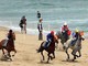 Animalisti e Enpa contro il Polo Beach di Pietra Ligure