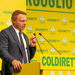 Agricoltura, la Camera approva il Coltivaitalia: oltre un miliardo al settore primario Agricoltura, la Camera approva il Coltivaitalia: oltre un miliardo al settore primario