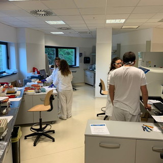 Coronavirus, 11 nuovi positivi in Liguria: tre riguardano l'Asl 2 savonese Coronavirus, 11 nuovi positivi in Liguria: tre riguardano l'Asl 2 savonese