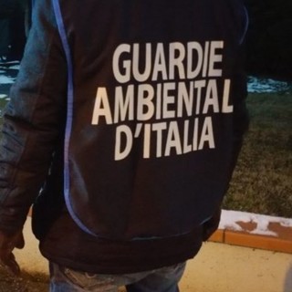 Solidarietà: dai Volontari Guardie Ambientali D’ITalia pacchi natalizi in cambio di un’offerta libera
